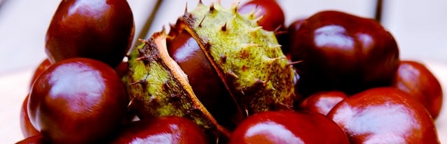 Photo by Eugene Kuznetsov on Unsplash.com