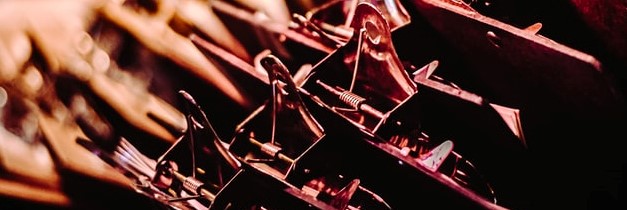 Photo by Ralph (Ravi) Kayden on Unsplash.com